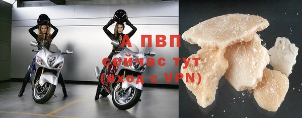 спайс Богданович