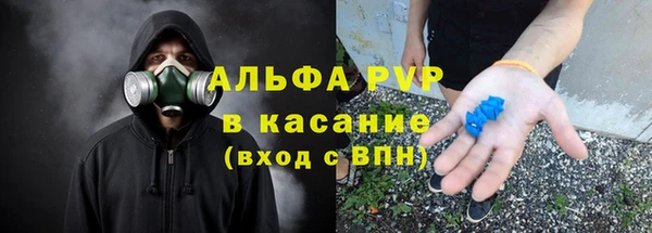 спайс Богданович