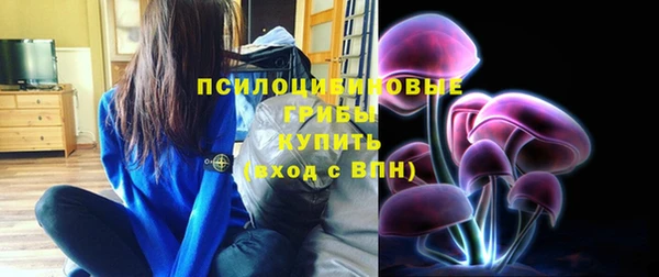 спайс Богданович