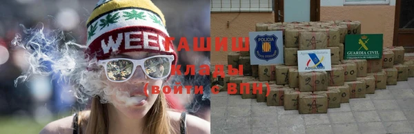 спайс Богданович