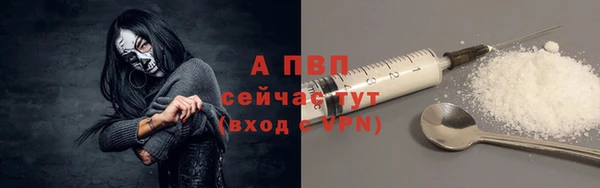 спайс Богданович