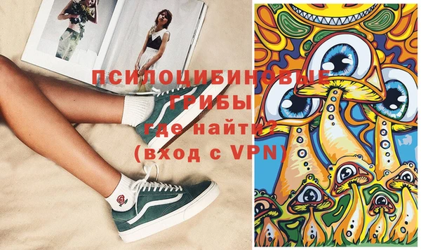 спайс Богданович