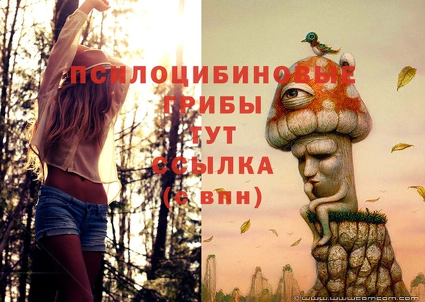 спайс Богданович