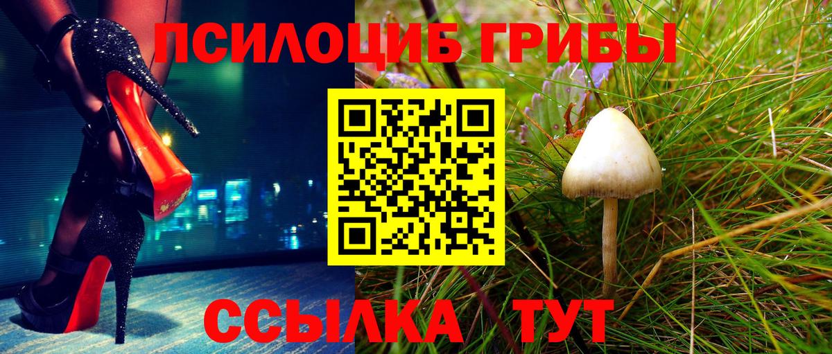 Псилоцибиновые грибы Psilocybe Пыть-Ях