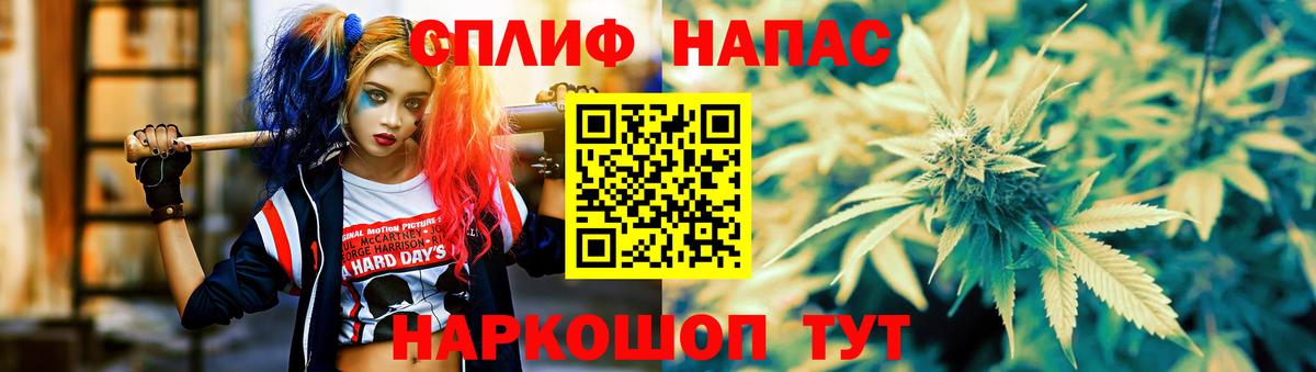Конопля конопля Пыть-Ях